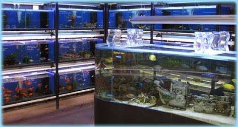 Photo: Aquarium Factory Outlet